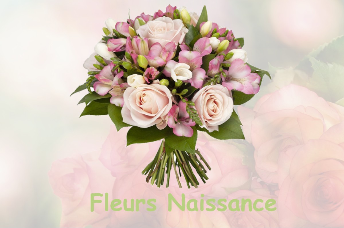 fleurs naissance FLINES-LEZ-RACHES